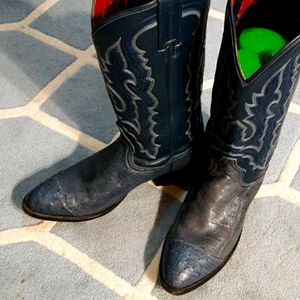 Dan Post Wingtip Blue Ostrich Cowboy Boots - Rare!